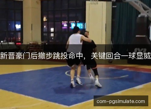 新晋豪门后撤步跳投命中，关键回合一球显威
